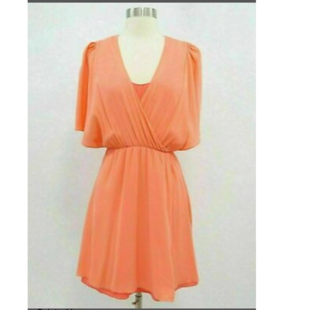 Alice and Olivia Silk Dress